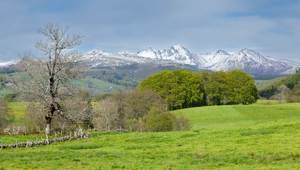 Coach Mont-de-Marsan